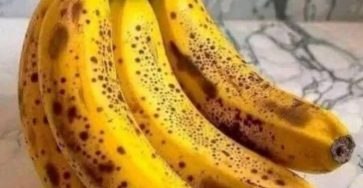 410a9e71 f950 4fc2 b4b2 9f2a107abe4f