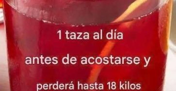 557655336 2260096967753388 2912391891954837129 n