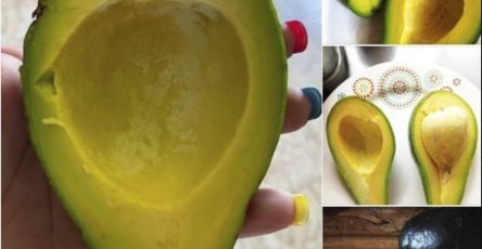 557717201 1330722338463072 937893647427376944 n