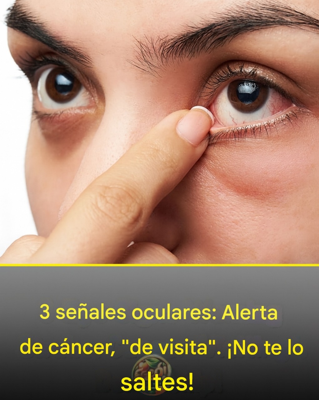 571440698 1461855028438815 5483834782346343473 n