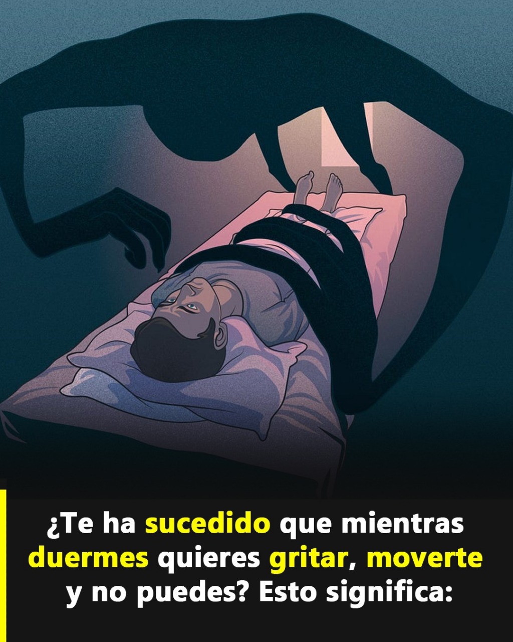 595588509 834849392665059 2201318193961447682 n