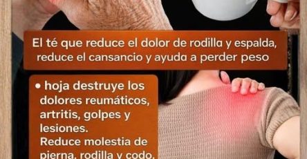 630973592 906559178690363 7008917638826450492 n