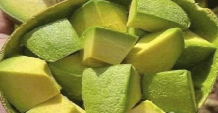 635140794 122170514768879981 7238048883746531023 n