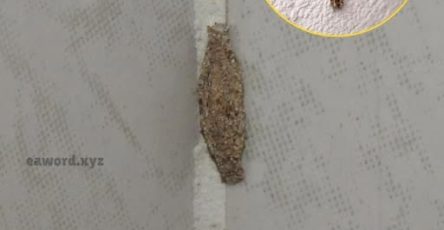 637118751 122316832100011604 3475765596844454986 n