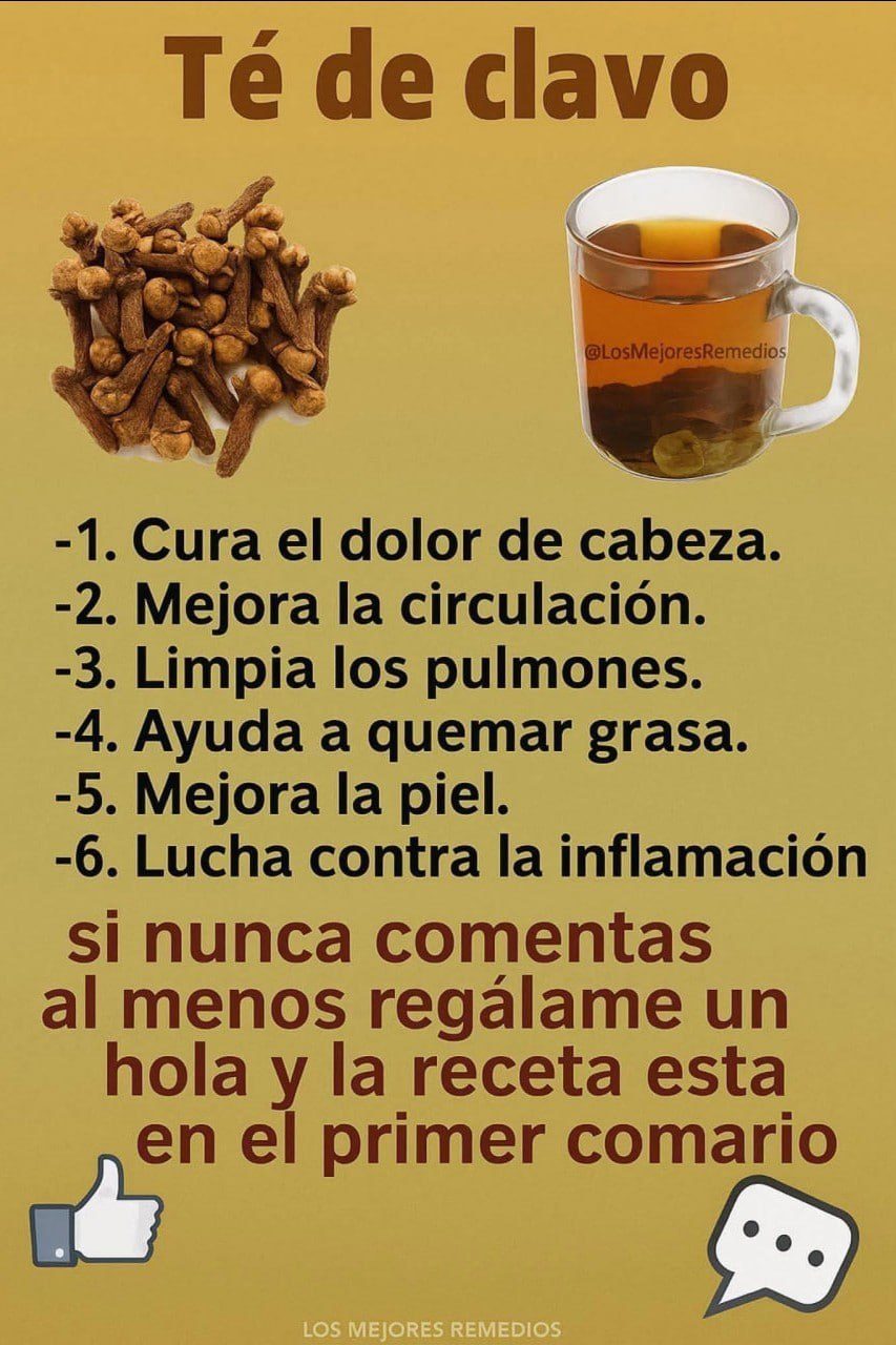 637306605 880712384781797 6963500894755885289 n