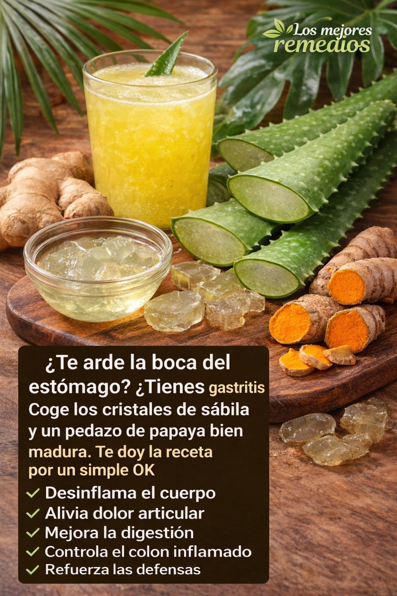 638244773 1479176077102430 6715492522004707387 n