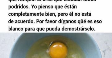 640451987 2403323976835174 5133256912523741886 n