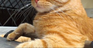 642849354 1476397944055743 2597881106577360690 n