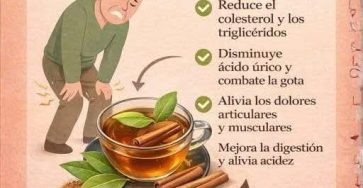 Ec036643 b943 4df6 9055 b27293150b9d