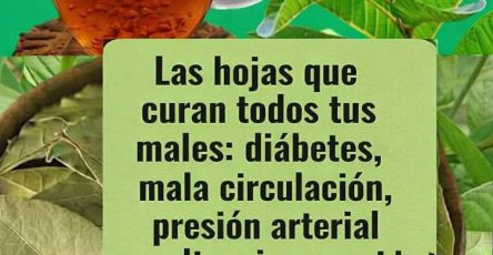 33d2a948 9721 47dd a8be 9a7b84830d99