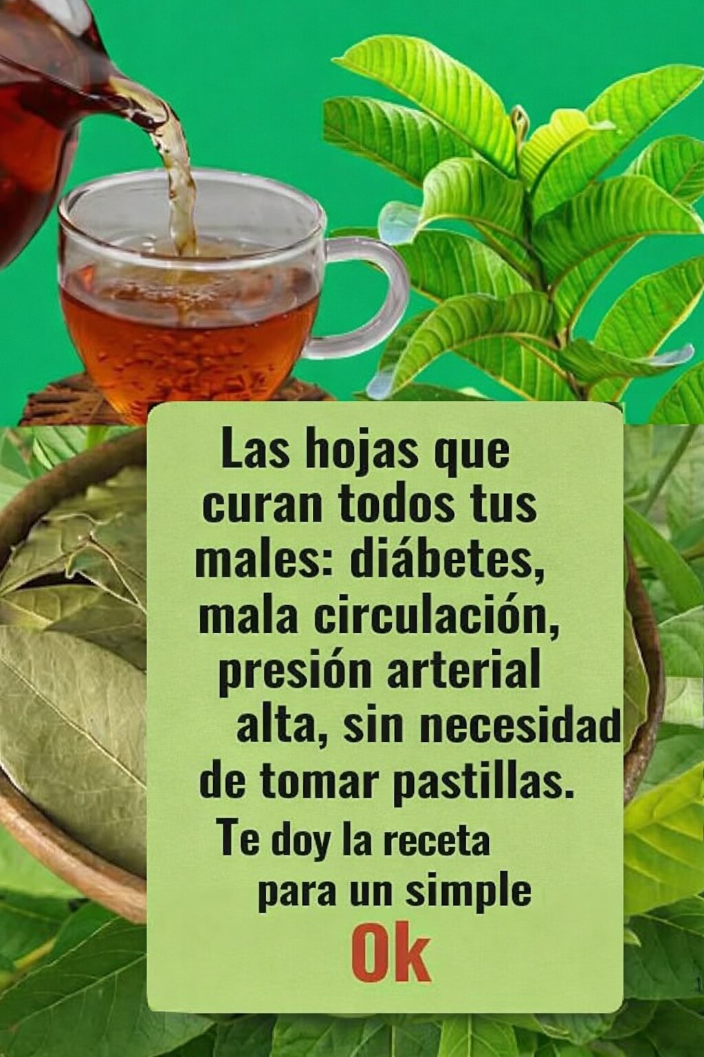 33d2a948 9721 47dd a8be 9a7b84830d99