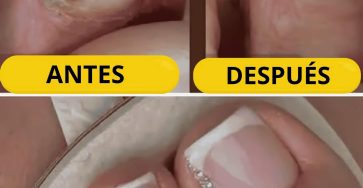 482199463 1201617241524983 3322230989126882882 n