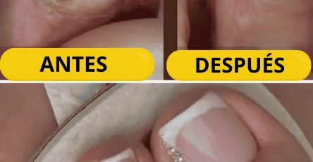 482199463 1201617241524983 3322230989126882882 n