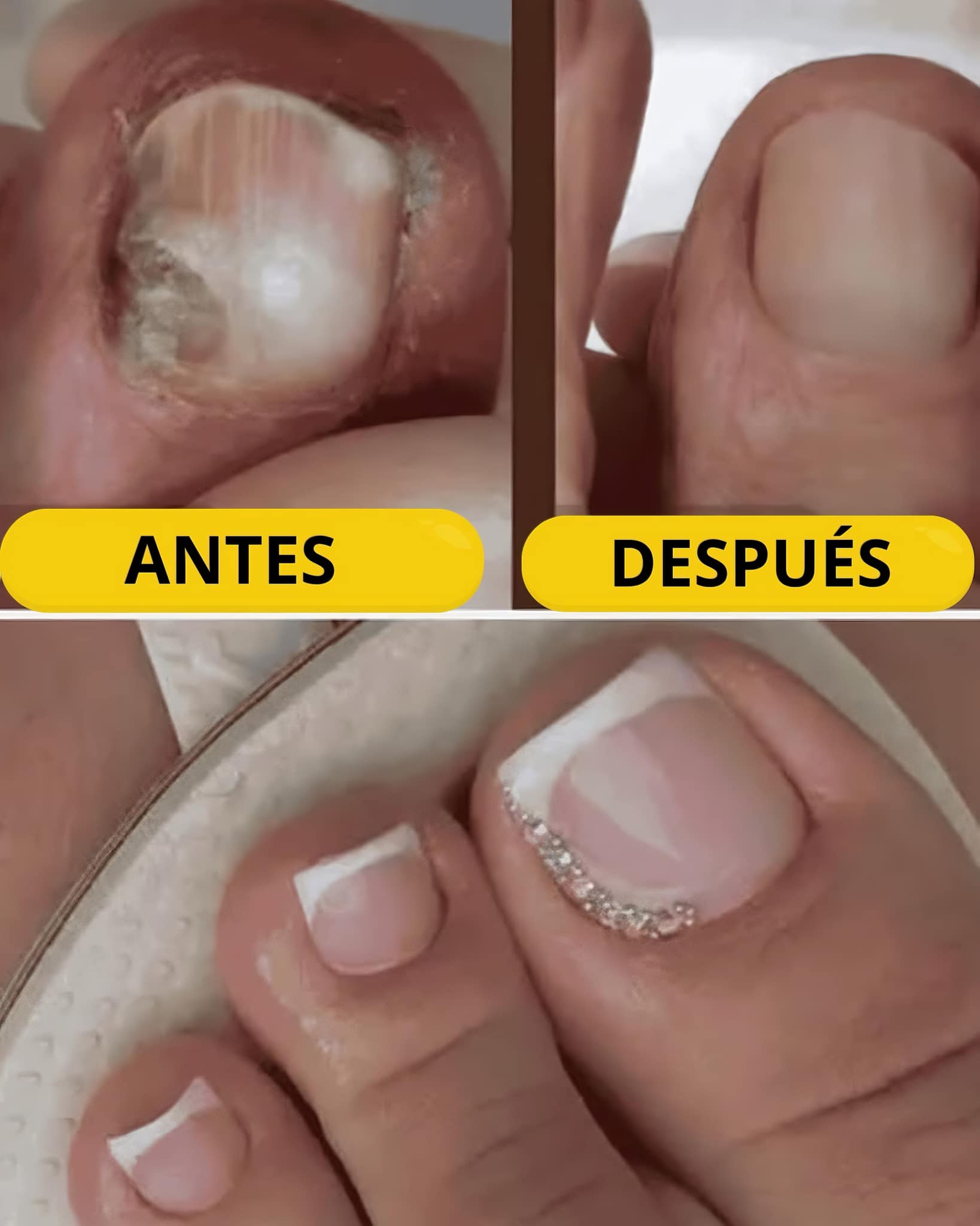 482199463 1201617241524983 3322230989126882882 n