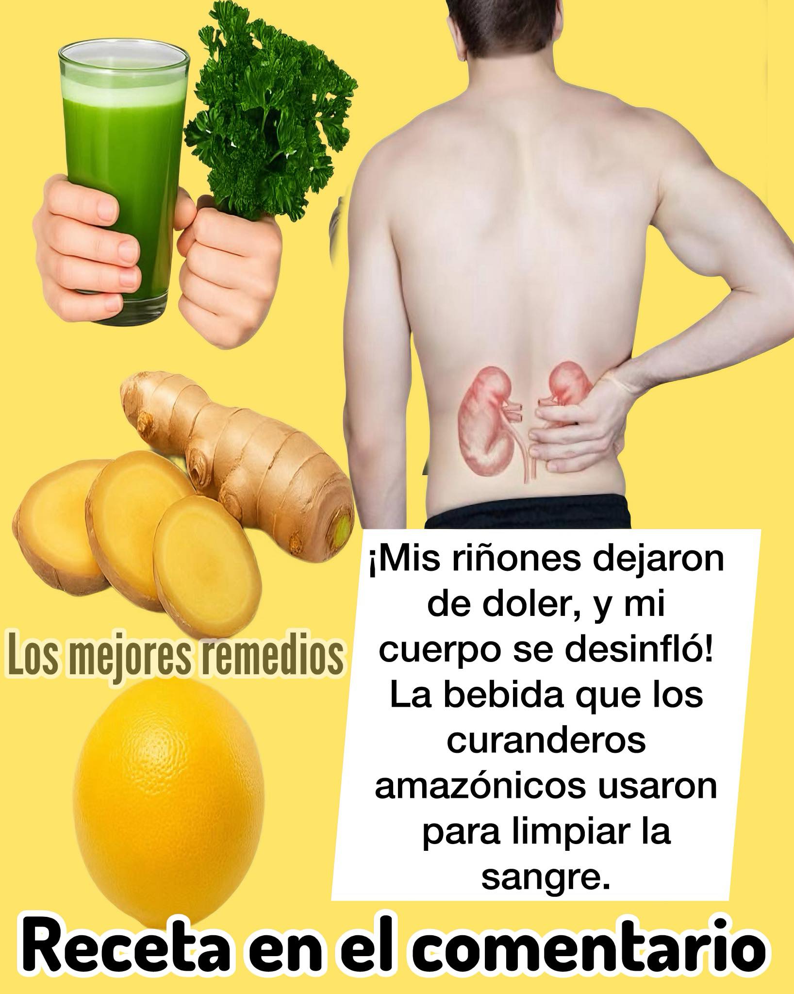 494984714 1246176130402427 4830847653948416703 n