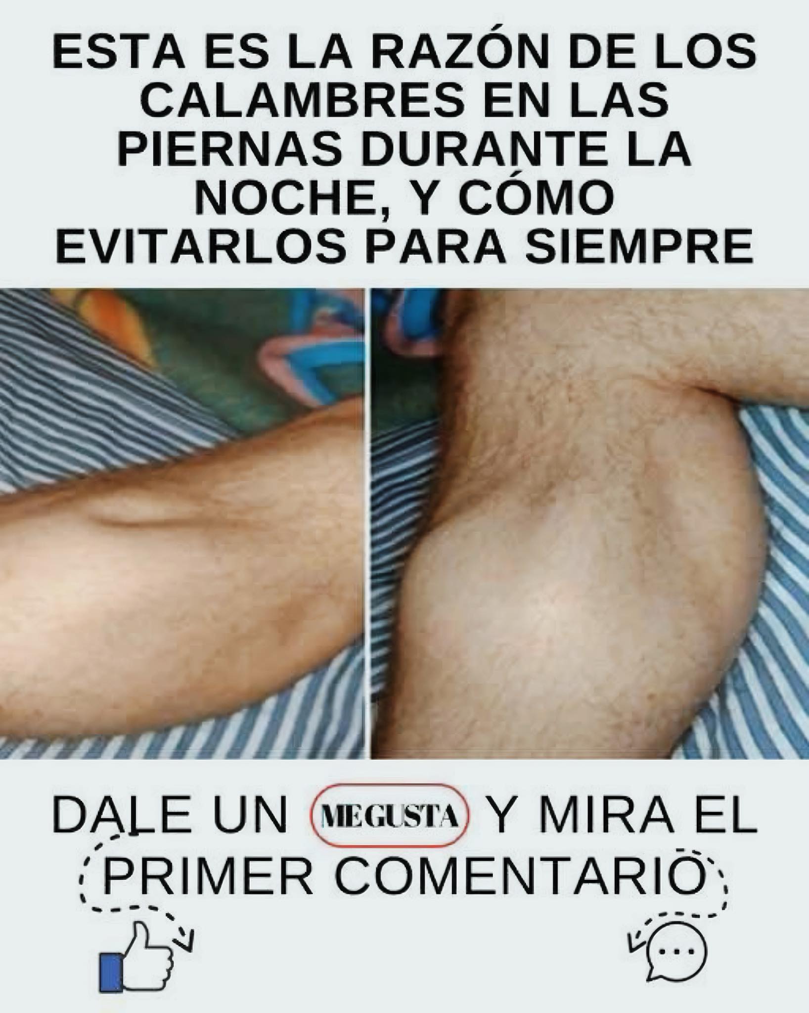 495056348 1248044580215582 689592221897290669 n