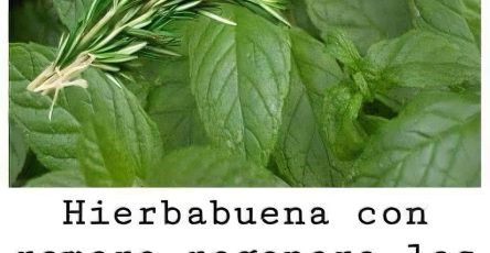 495160001 1247755993577774 4627755104383821717 n