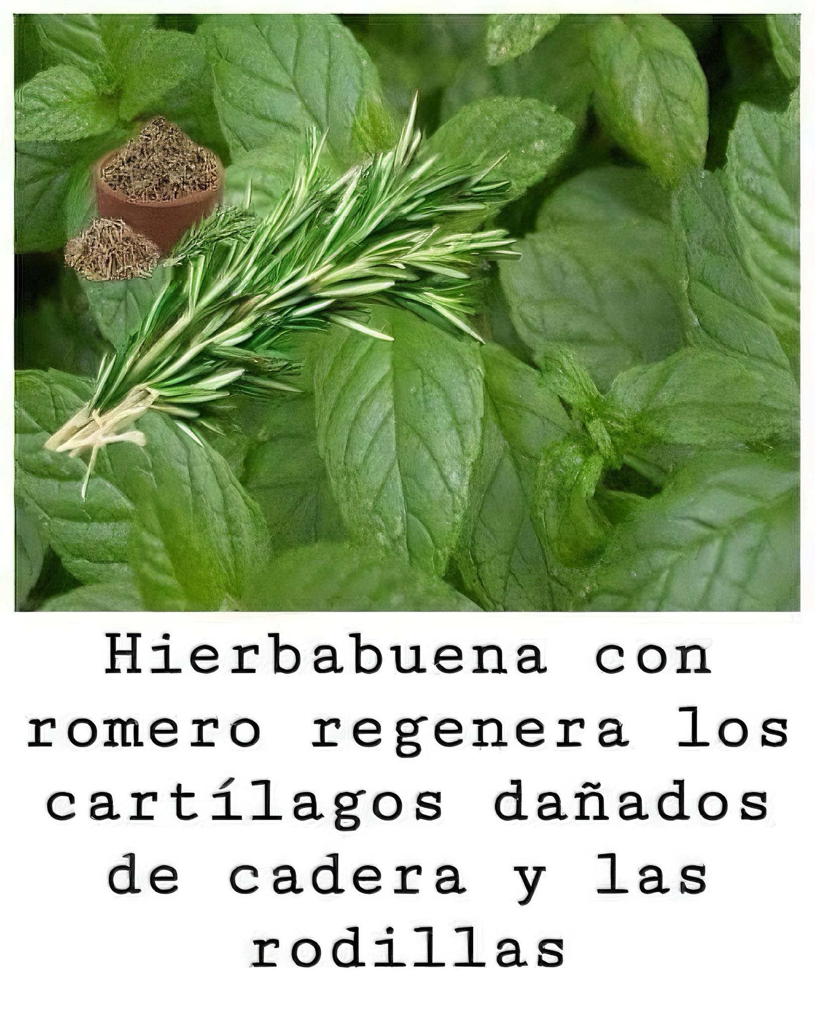 495160001 1247755993577774 4627755104383821717 n