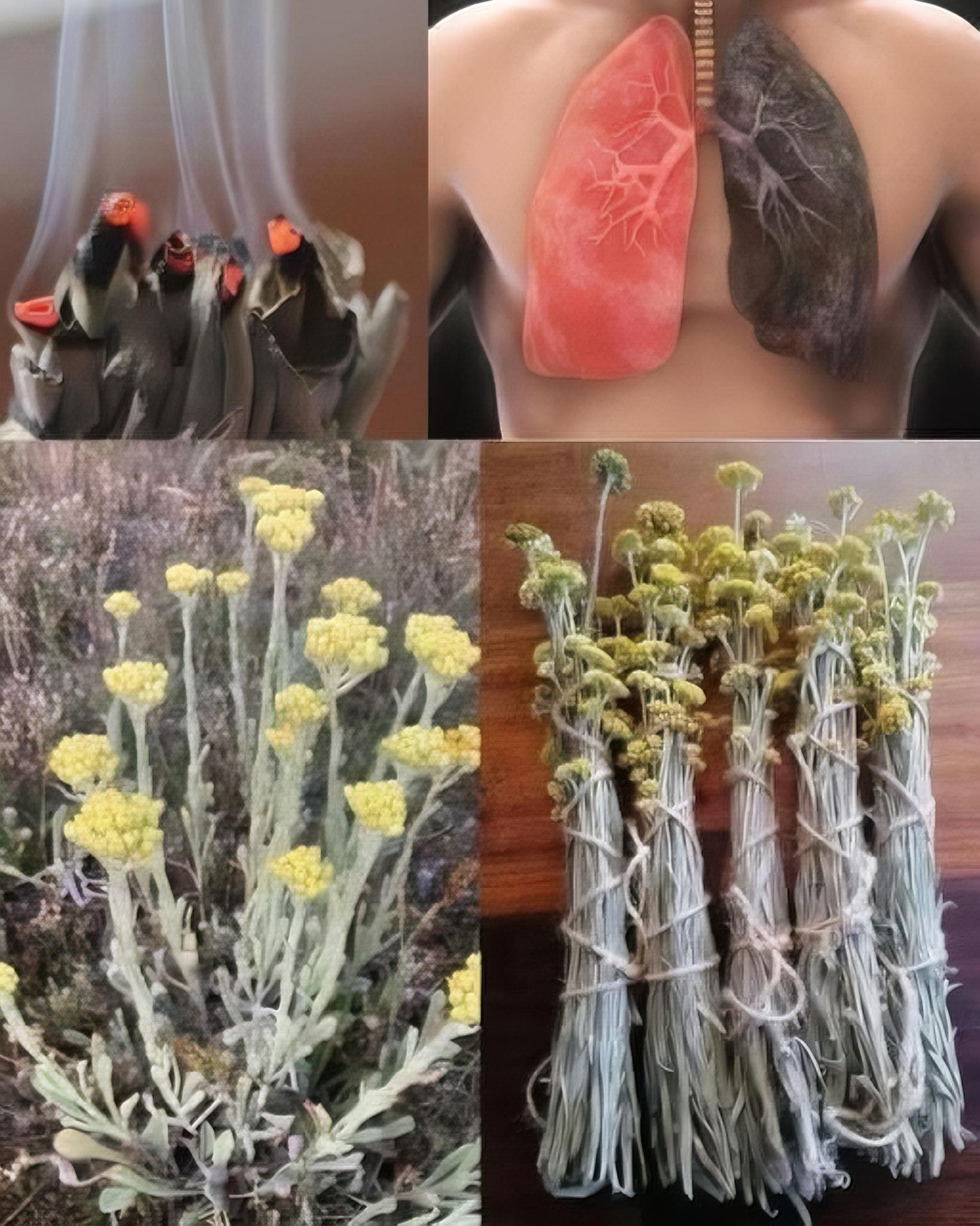 495268949 1246148963738477 4789826750826144206 n