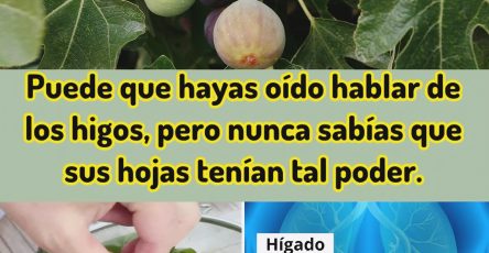 512667319 1284781523208554 438524245523889501 n