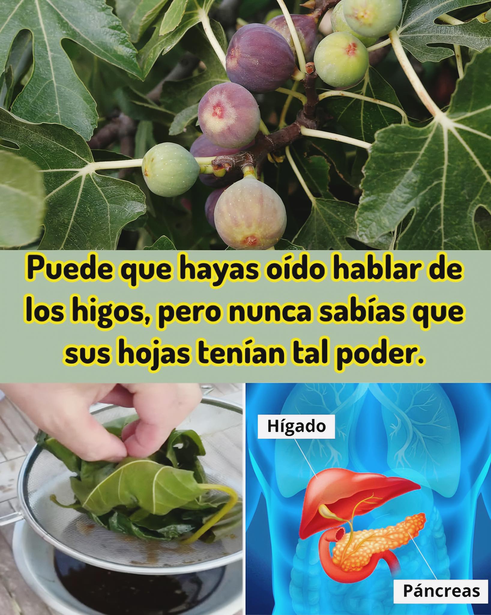 512667319 1284781523208554 438524245523889501 n