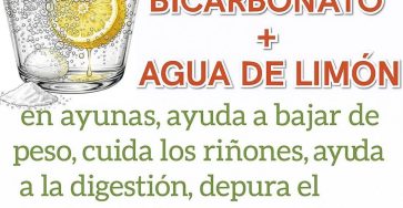 541408730 122179600334449477 2008485595536575971 n