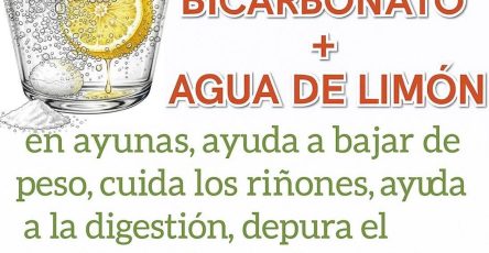 541408730 122179600334449477 2008485595536575971 n