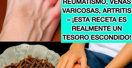 552715153 1987686912004017 1243555052101831637 n