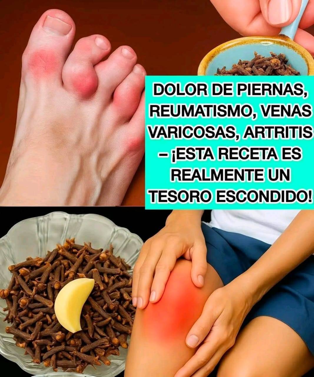 552715153 1987686912004017 1243555052101831637 n