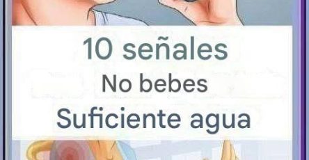 554477636 122217670184111867 6312909133611215446 n