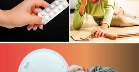 556137643 122189192828345226 6335572755424486383 n