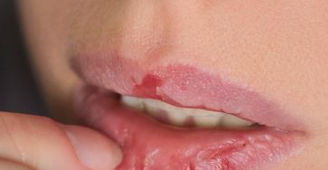 565145045 1370337034661835 1510974072288335963 n