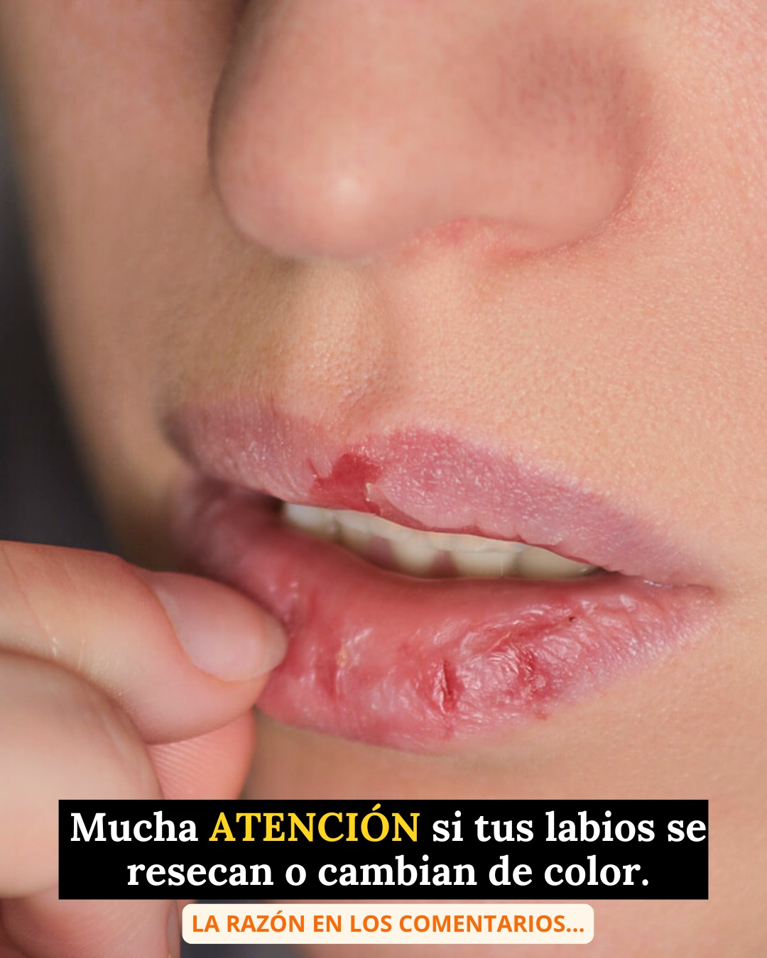 565145045 1370337034661835 1510974072288335963 n