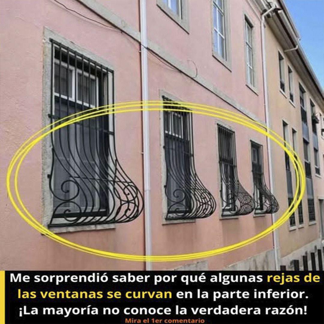 570202667 1348512336684072 6078343841471780980 n