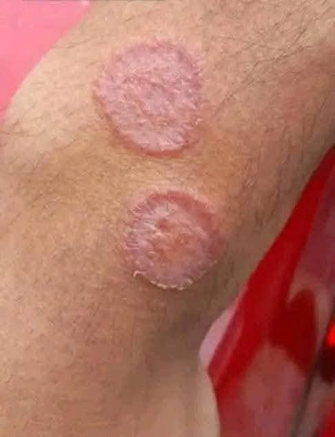 596981185 1360902219415534 7428699450737765881 n 1