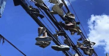 604726012 1398953408306631 9098877735563413295 n