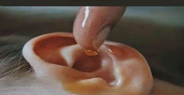 608298098 1401416708060301 5335553316646689878 n