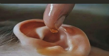 608298098 1401416708060301 5335553316646689878 n