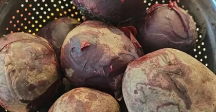 616148622 881512948076913 5081141491477304381 n