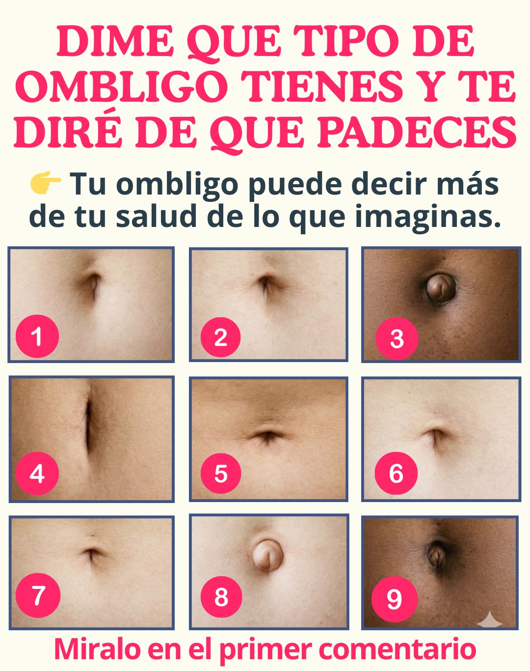 621697928 1450890499939821 6505098068508195014 n