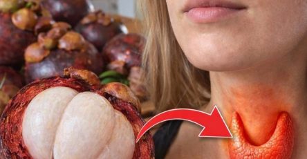 627189698 896474163344527 1081202590787346746 n