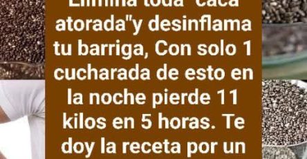 632577066 1455432306377777 2283495363952269592 n