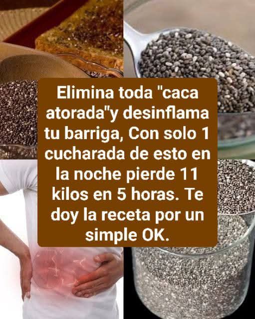 632577066 1455432306377777 2283495363952269592 n