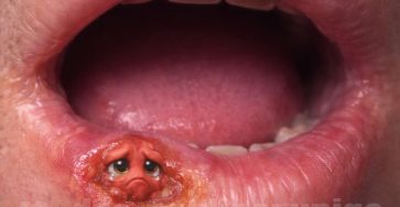 633366192 1458385018985767 2650286928885025838 n