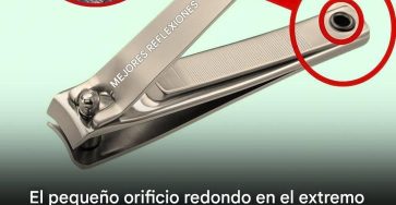 637450946 956952017021816 4886887225395899636 n