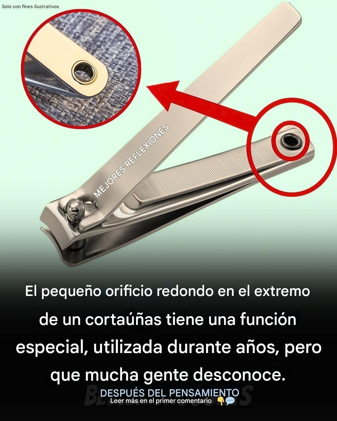 637450946 956952017021816 4886887225395899636 n