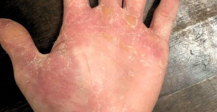 640985469 1475177707511100 8474306824347916371 n