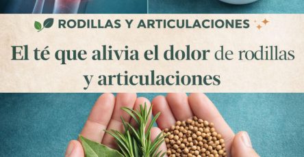 641540485 122153852204973955 1784096081940044330 n