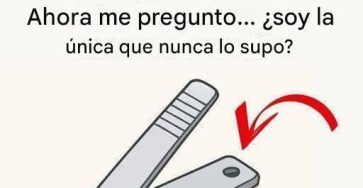 641624331 1463231605245458 5792959734520874834 n