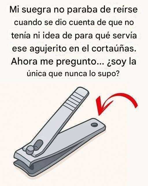 641624331 1463231605245458 5792959734520874834 n